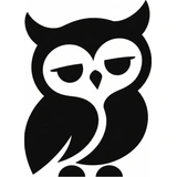 Younes’s black-and-white owl mark